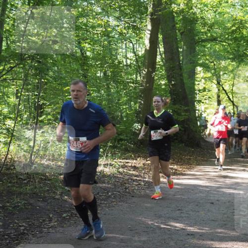 22.09.2024 - 32. Volkslauf durch das schöne Alstertal Miley Keyser http://msf.ph/oto/7135470 22.09.2024 10:47:23 Laufen 246 meine-sportfotos.de