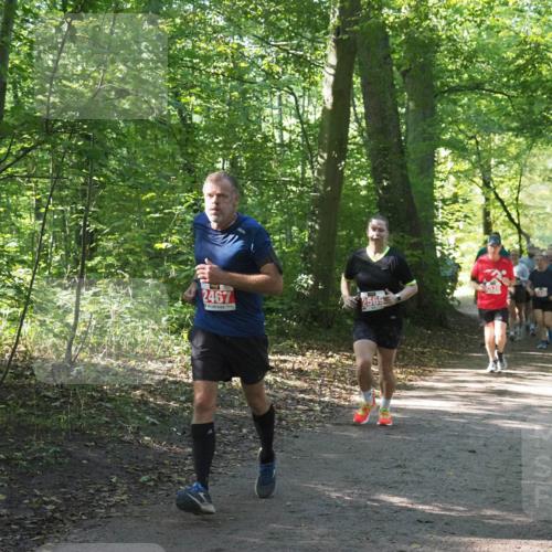 22.09.2024 - 32. Volkslauf durch das schöne Alstertal Miley Keyser http://msf.ph/oto/7135473 22.09.2024 10:47:23 Laufen 2467, 2565, 2538 meine-sportfotos.de