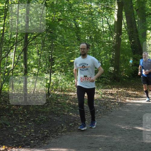 22.09.2024 - 32. Volkslauf durch das schöne Alstertal Miley Keyser http://msf.ph/oto/7135480 22.09.2024 10:47:21 Laufen 07, 2522 meine-sportfotos.de