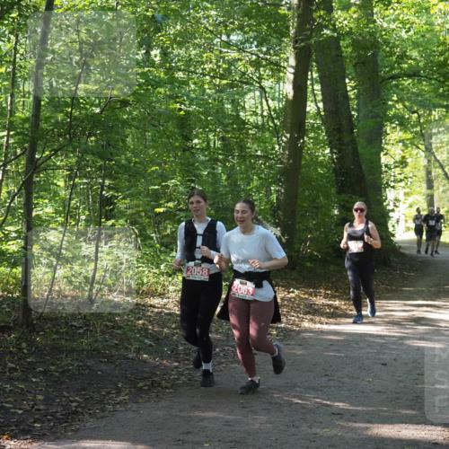 22.09.2024 - 32. Volkslauf durch das schöne Alstertal Miley Keyser http://msf.ph/oto/7135517 22.09.2024 10:47:01 Laufen 2058, 2063 meine-sportfotos.de