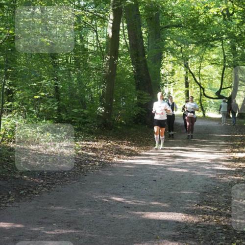22.09.2024 - 32. Volkslauf durch das schöne Alstertal Miley Keyser http://msf.ph/oto/7135526 22.09.2024 10:46:55 Laufen  meine-sportfotos.de
