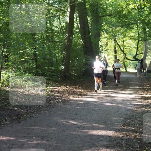 22.09.2024 - 32. Volkslauf durch das schöne Alstertal Miley Keyser http://msf.ph/oto/7135529 22.09.2024 10:46:56 Laufen  meine-sportfotos.de