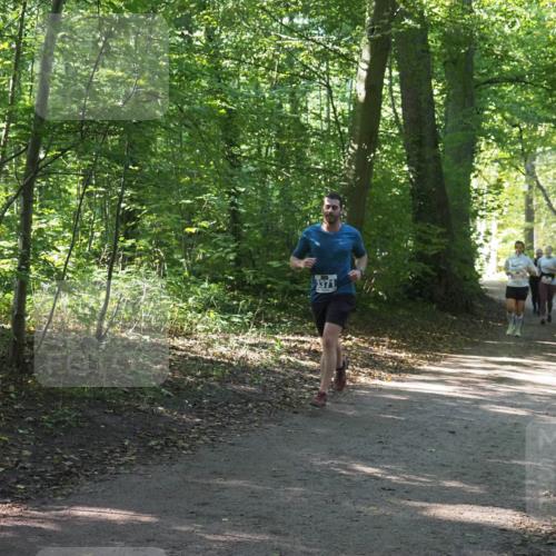 22.09.2024 - 32. Volkslauf durch das schöne Alstertal Miley Keyser http://msf.ph/oto/7135532 22.09.2024 10:46:53 Laufen 3371 meine-sportfotos.de