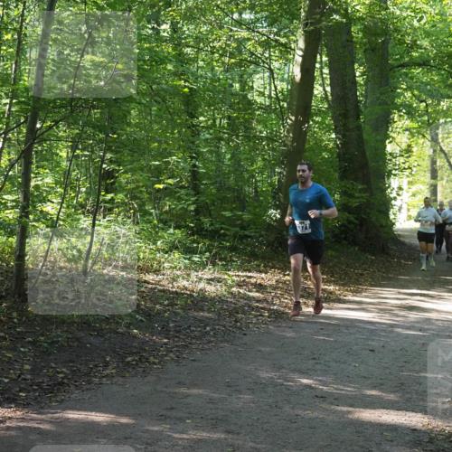 22.09.2024 - 32. Volkslauf durch das schöne Alstertal Miley Keyser http://msf.ph/oto/7135534 22.09.2024 10:46:53 Laufen  meine-sportfotos.de