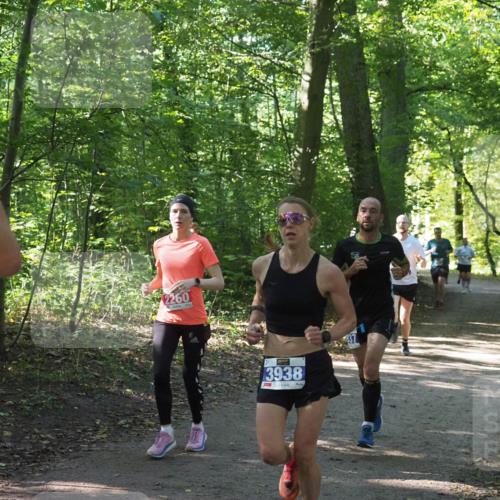 22.09.2024 - 32. Volkslauf durch das schöne Alstertal Miley Keyser http://msf.ph/oto/7135546 22.09.2024 10:46:49 Laufen 2260, 3938 meine-sportfotos.de