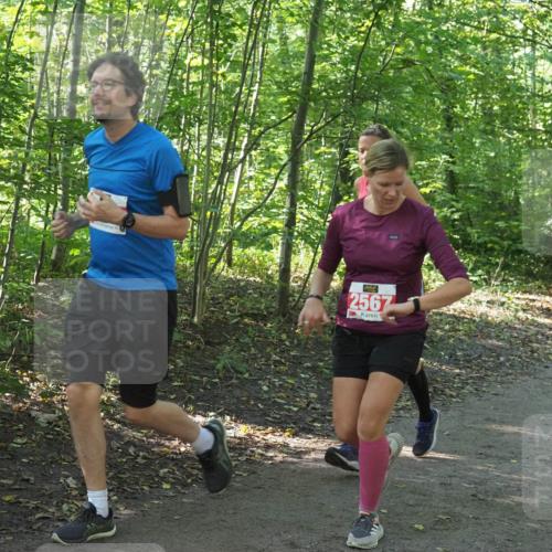 22.09.2024 - 32. Volkslauf durch das schöne Alstertal Miley Keyser http://msf.ph/oto/7135573 22.09.2024 10:46:38 Laufen 2567 meine-sportfotos.de