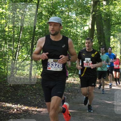 22.09.2024 - 32. Volkslauf durch das schöne Alstertal Miley Keyser http://msf.ph/oto/7135587 22.09.2024 10:46:34 Laufen 3328, 12, 1, 2197 meine-sportfotos.de