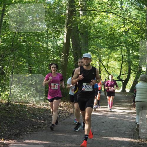 22.09.2024 - 32. Volkslauf durch das schöne Alstertal Miley Keyser http://msf.ph/oto/7135591 22.09.2024 10:46:34 Laufen 2196, 3328 meine-sportfotos.de