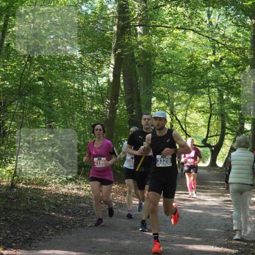 22.09.2024 - 32. Volkslauf durch das schöne Alstertal Miley Keyser http://msf.ph/oto/7135595 22.09.2024 10:46:33 Laufen 224, 2196, 3328, 2567 meine-sportfotos.de