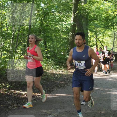 22.09.2024 - 32. Volkslauf durch das schöne Alstertal Miley Keyser http://msf.ph/oto/7135598 22.09.2024 10:46:31 Laufen 2107, 3250 meine-sportfotos.de