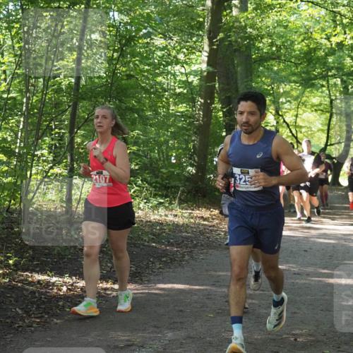 22.09.2024 - 32. Volkslauf durch das schöne Alstertal Miley Keyser http://msf.ph/oto/7135601 22.09.2024 10:46:30 Laufen 2107, 325 meine-sportfotos.de