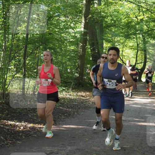 22.09.2024 - 32. Volkslauf durch das schöne Alstertal Miley Keyser http://msf.ph/oto/7135602 22.09.2024 10:46:30 Laufen 2107, 3250 meine-sportfotos.de