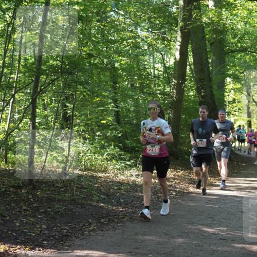 22.09.2024 - 32. Volkslauf durch das schöne Alstertal Miley Keyser http://msf.ph/oto/7135621 22.09.2024 10:46:22 Laufen 2286, 2038, 451 meine-sportfotos.de