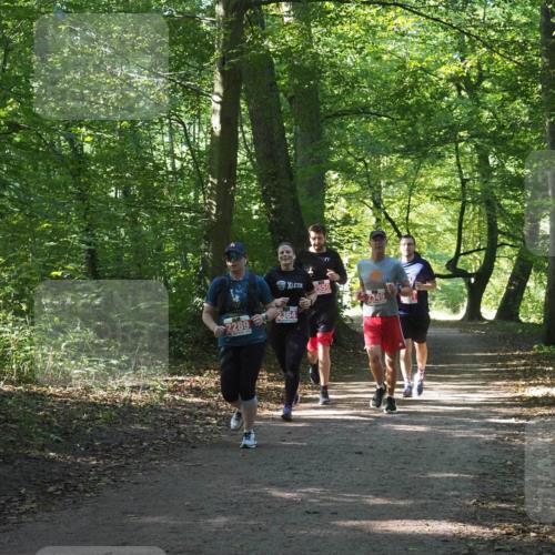 22.09.2024 - 32. Volkslauf durch das schöne Alstertal Miley Keyser http://msf.ph/oto/7135640 22.09.2024 10:46:15 Laufen 2550, 2349, 2364, 2289 meine-sportfotos.de