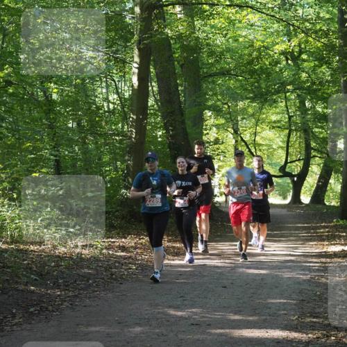22.09.2024 - 32. Volkslauf durch das schöne Alstertal Miley Keyser http://msf.ph/oto/7135643 22.09.2024 10:46:14 Laufen 2289, 2550, 2349 meine-sportfotos.de