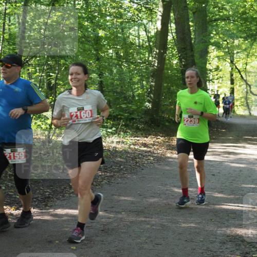 22.09.2024 - 32. Volkslauf durch das schöne Alstertal Miley Keyser http://msf.ph/oto/7135644 22.09.2024 10:46:03 Laufen 2159, 2160, 2239 meine-sportfotos.de
