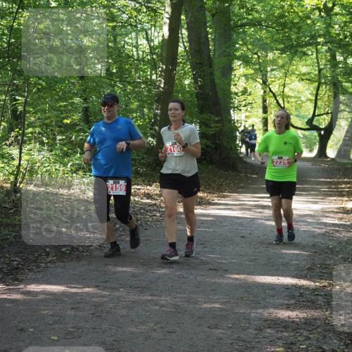 22.09.2024 - 32. Volkslauf durch das schöne Alstertal Miley Keyser http://msf.ph/oto/7135649 22.09.2024 10:46:02 Laufen 2159, 2160, 2239 meine-sportfotos.de