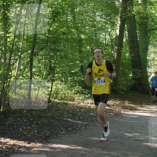 22.09.2024 - 32. Volkslauf durch das schöne Alstertal Miley Keyser http://msf.ph/oto/7135660 22.09.2024 10:45:57 Laufen 3337, 2159 meine-sportfotos.de