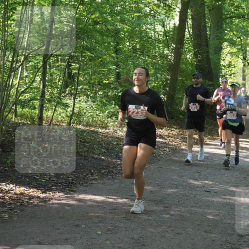 22.09.2024 - 32. Volkslauf durch das schöne Alstertal Miley Keyser http://msf.ph/oto/7135681 22.09.2024 10:45:49 Laufen 223, 2053, 2052, 3066 meine-sportfotos.de