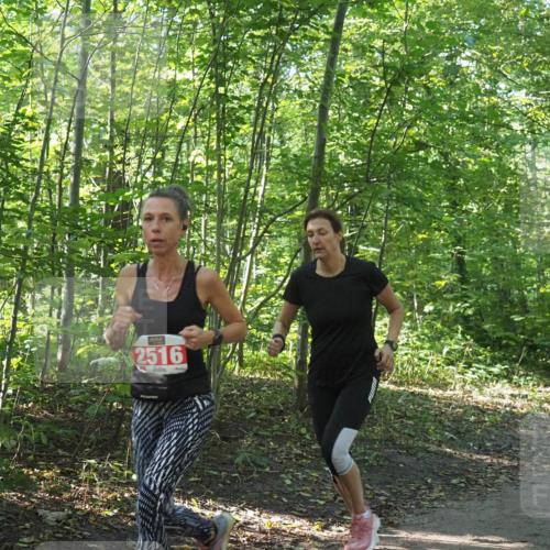 22.09.2024 - 32. Volkslauf durch das schöne Alstertal Miley Keyser http://msf.ph/oto/7135700 22.09.2024 10:45:35 Laufen 2516 meine-sportfotos.de