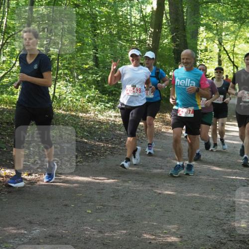22.09.2024 - 32. Volkslauf durch das schöne Alstertal Miley Keyser http://msf.ph/oto/7135715 22.09.2024 10:45:32 Laufen 2543, 2967, 2948 meine-sportfotos.de