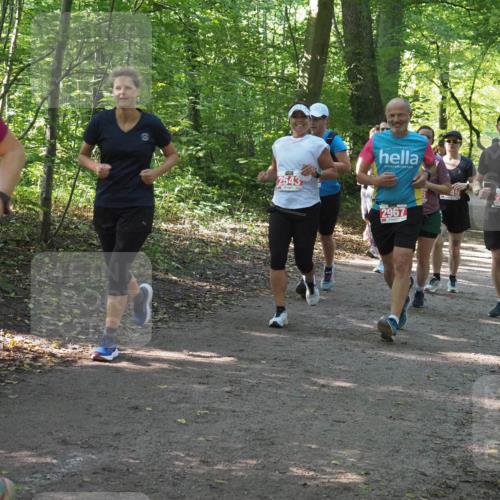 22.09.2024 - 32. Volkslauf durch das schöne Alstertal Miley Keyser http://msf.ph/oto/7135717 22.09.2024 10:45:31 Laufen 2543, 2967, 2948 meine-sportfotos.de