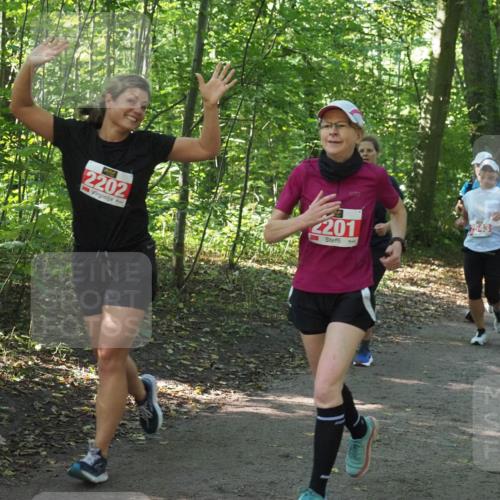 22.09.2024 - 32. Volkslauf durch das schöne Alstertal Miley Keyser http://msf.ph/oto/7135719 22.09.2024 10:45:31 Laufen 2202, 201, 2543, 2967 meine-sportfotos.de