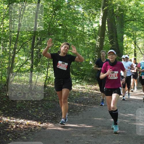 22.09.2024 - 32. Volkslauf durch das schöne Alstertal Miley Keyser http://msf.ph/oto/7135724 22.09.2024 10:45:30 Laufen 2202, 2201, 2967 meine-sportfotos.de