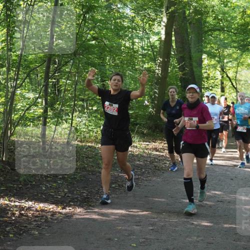22.09.2024 - 32. Volkslauf durch das schöne Alstertal Miley Keyser http://msf.ph/oto/7135725 22.09.2024 10:45:30 Laufen 2202, 948 meine-sportfotos.de