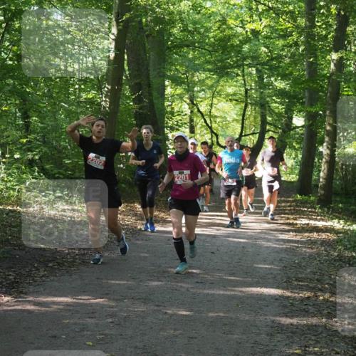 22.09.2024 - 32. Volkslauf durch das schöne Alstertal Miley Keyser http://msf.ph/oto/7135726 22.09.2024 10:45:29 Laufen 2202, 2201 meine-sportfotos.de