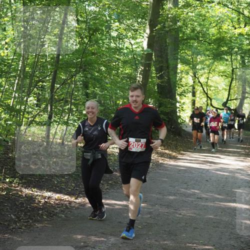 22.09.2024 - 32. Volkslauf durch das schöne Alstertal Miley Keyser http://msf.ph/oto/7135734 22.09.2024 10:45:25 Laufen 2027 meine-sportfotos.de