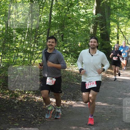 22.09.2024 - 32. Volkslauf durch das schöne Alstertal Miley Keyser http://msf.ph/oto/7135744 22.09.2024 10:45:18 Laufen 963, 2223 meine-sportfotos.de
