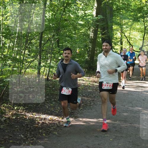 22.09.2024 - 32. Volkslauf durch das schöne Alstertal Miley Keyser http://msf.ph/oto/7135746 22.09.2024 10:45:18 Laufen 2963, 2223 meine-sportfotos.de