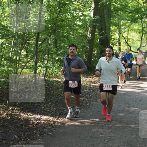 22.09.2024 - 32. Volkslauf durch das schöne Alstertal Miley Keyser http://msf.ph/oto/7135750 22.09.2024 10:45:18 Laufen 2963, 2223 meine-sportfotos.de