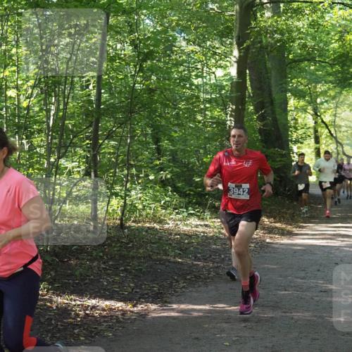22.09.2024 - 32. Volkslauf durch das schöne Alstertal Miley Keyser http://msf.ph/oto/7135760 22.09.2024 10:45:12 Laufen 3942 meine-sportfotos.de