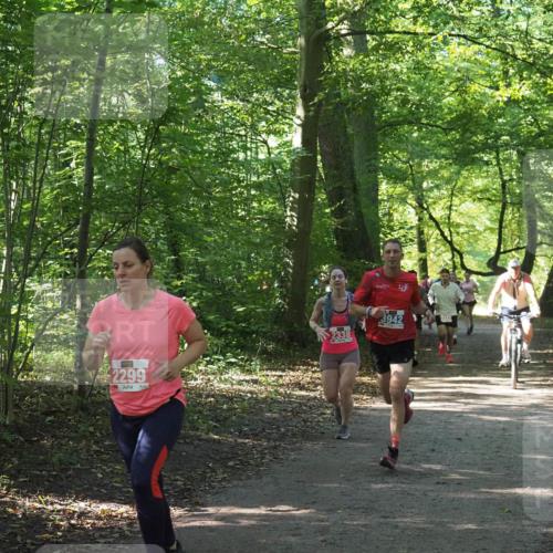 22.09.2024 - 32. Volkslauf durch das schöne Alstertal Miley Keyser http://msf.ph/oto/7135765 22.09.2024 10:45:12 Laufen 2299, 2338, 3942 meine-sportfotos.de