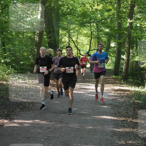 22.09.2024 - 32. Volkslauf durch das schöne Alstertal Miley Keyser http://msf.ph/oto/7135775 22.09.2024 10:45:09 Laufen 2191, 2192, 3942, 3302 meine-sportfotos.de