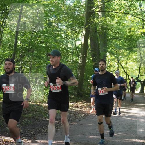 22.09.2024 - 32. Volkslauf durch das schöne Alstertal Miley Keyser http://msf.ph/oto/7135788 22.09.2024 10:45:03 Laufen 2135, 2137, 2125 meine-sportfotos.de