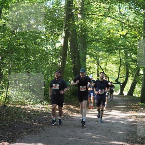 22.09.2024 - 32. Volkslauf durch das schöne Alstertal Miley Keyser http://msf.ph/oto/7135800 22.09.2024 10:45:01 Laufen 2135, 2137 meine-sportfotos.de