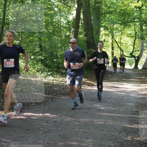 22.09.2024 - 32. Volkslauf durch das schöne Alstertal Miley Keyser http://msf.ph/oto/7135805 22.09.2024 10:44:52 Laufen 2460, 2343, 2258 meine-sportfotos.de
