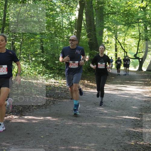 22.09.2024 - 32. Volkslauf durch das schöne Alstertal Miley Keyser http://msf.ph/oto/7135806 22.09.2024 10:44:52 Laufen 2460, 2343, 2258 meine-sportfotos.de