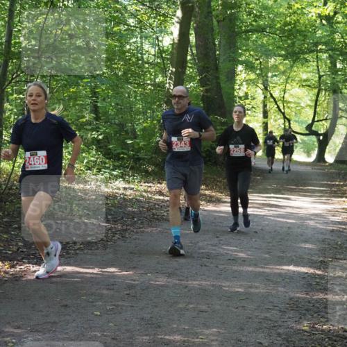 22.09.2024 - 32. Volkslauf durch das schöne Alstertal Miley Keyser http://msf.ph/oto/7135807 22.09.2024 10:44:52 Laufen 2460, 2343, 2258 meine-sportfotos.de