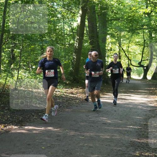 22.09.2024 - 32. Volkslauf durch das schöne Alstertal Miley Keyser http://msf.ph/oto/7135808 22.09.2024 10:44:51 Laufen 2460, 2258 meine-sportfotos.de