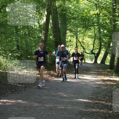 22.09.2024 - 32. Volkslauf durch das schöne Alstertal Miley Keyser http://msf.ph/oto/7135812 22.09.2024 10:44:50 Laufen 2460 meine-sportfotos.de