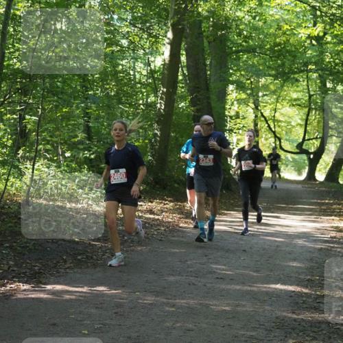 22.09.2024 - 32. Volkslauf durch das schöne Alstertal Miley Keyser http://msf.ph/oto/7135813 22.09.2024 10:44:51 Laufen 2460, 2343 meine-sportfotos.de