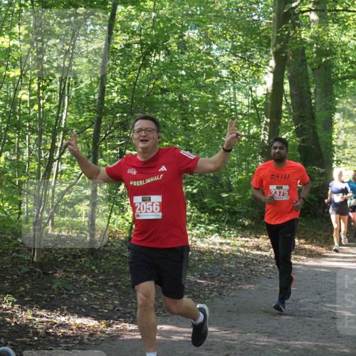 22.09.2024 - 32. Volkslauf durch das schöne Alstertal Miley Keyser http://msf.ph/oto/7135827 22.09.2024 10:44:48 Laufen 2056, 2375 meine-sportfotos.de