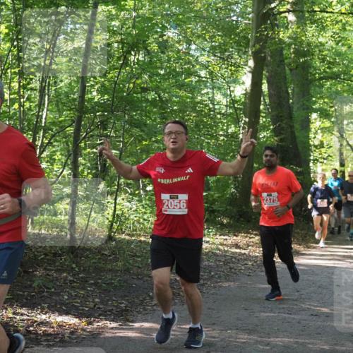 22.09.2024 - 32. Volkslauf durch das schöne Alstertal Miley Keyser http://msf.ph/oto/7135830 22.09.2024 10:44:48 Laufen 2536, 2056, 2375 meine-sportfotos.de