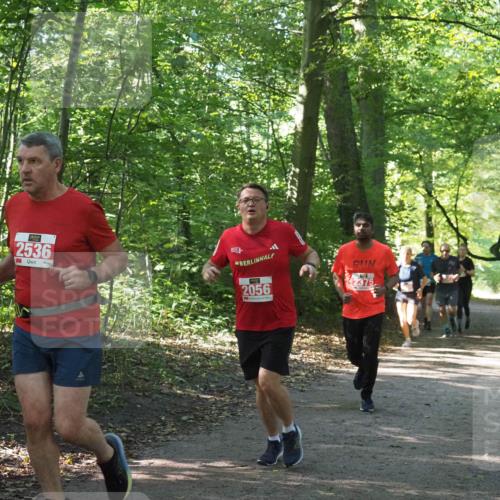 22.09.2024 - 32. Volkslauf durch das schöne Alstertal Miley Keyser http://msf.ph/oto/7135833 22.09.2024 10:44:47 Laufen 2536, 2056 meine-sportfotos.de