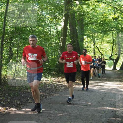 22.09.2024 - 32. Volkslauf durch das schöne Alstertal Miley Keyser http://msf.ph/oto/7135834 22.09.2024 10:44:47 Laufen 2536, 2056 meine-sportfotos.de