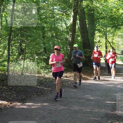 22.09.2024 - 32. Volkslauf durch das schöne Alstertal Miley Keyser http://msf.ph/oto/7135837 22.09.2024 10:44:44 Laufen 2968 meine-sportfotos.de